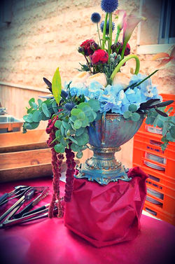 13769566_1733479206893851_7018387907044652838_n