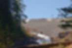ree