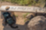 ree