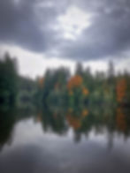 ree