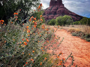Bell Rock Pathway, Sedona, AZ