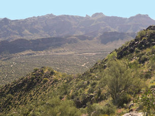 EJ Peak Trail (Lone Mountain) - Apache Junction