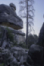 ree