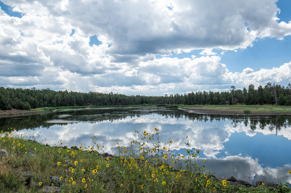 Woodland Lake Park Trail in AZ