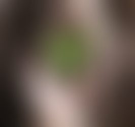 Preserve o Meio Ambiente