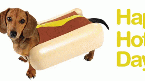f2c5879e07c1a483645333388b159852.gif