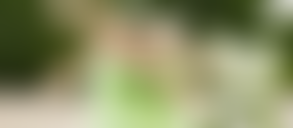 Discover the benefits of the Aloe Vera Plant