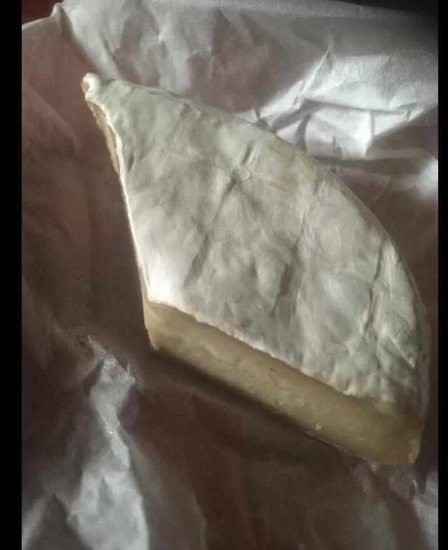 vegan camembert culture vegan camembert mould vegan camemberferments starter cultures vegan cheesemaking kit vegan mesophilic