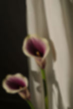 calla lilly wedding gown