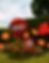 A6A08A18-0442-4895-B52F-B7DF63FDD927.png