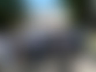 Un Drago Canario En Ucrania.