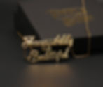 Gold Accessibility Is Beautiful necklace on a black background.
