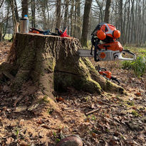 WhatsApp Image 2023-07-15 at 12.38.39 PM (1).jpeg