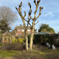 WhatsApp Image 2023-07-15 at 12.38.41 PM (3).jpeg