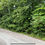 Thumbnail: Elevated Lake View - 0.25 Acre in Cherokee Village AR