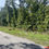 Thumbnail: Build Your Dream Home In This Big Lot 0.41 Acre Lot in Cherokee Vil