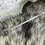 Thumbnail: Flower Clips Bobby Pin