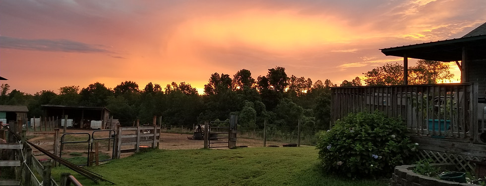 20190823_064202.jpg