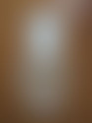 卒業わんこ♡いなりちゃんご家族様