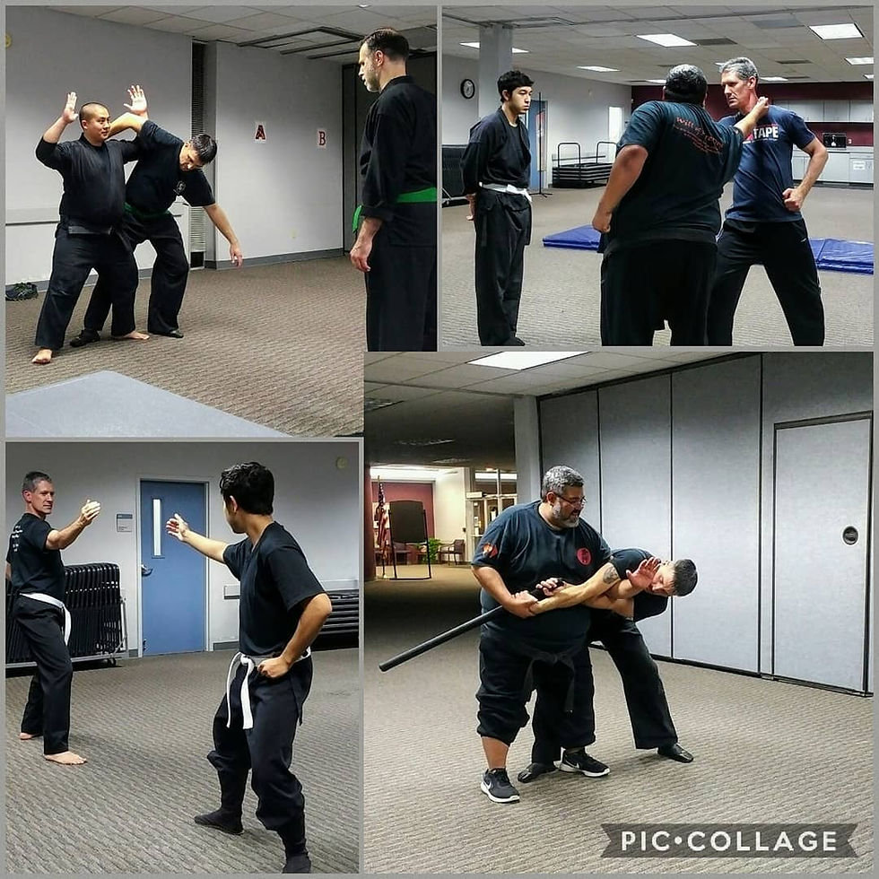 Collage of Techniques
