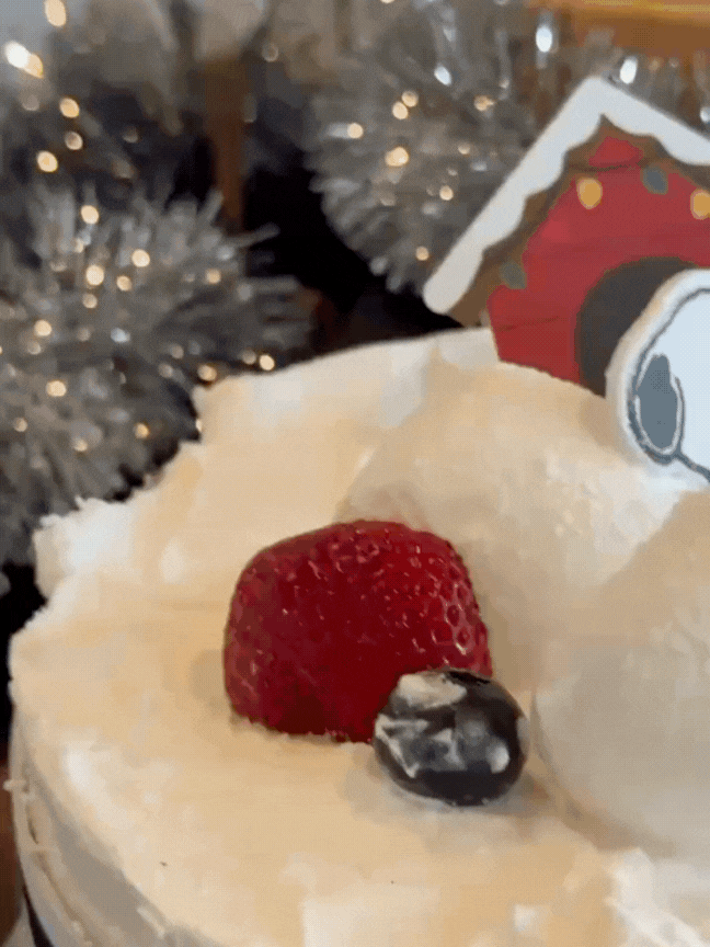 Red and White Simple Christmas Greetings Animated Instagram Post.gif