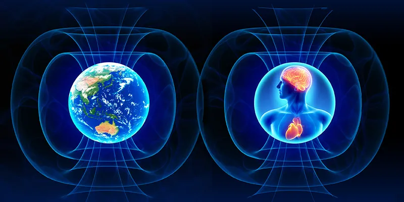 hmi-blog-coherence-bridging-personal-social-and-global-health.webp