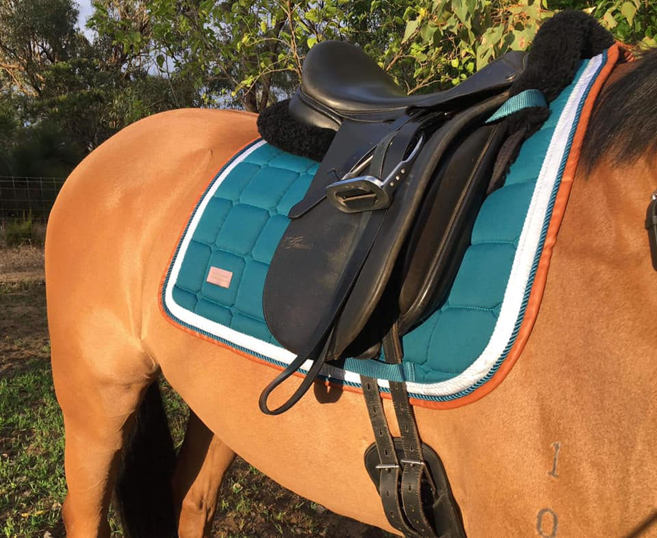 Factory 2nds- Turquoise saddle pad Dressage
