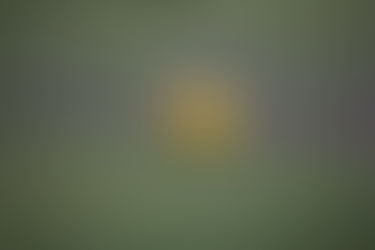 Bad day at the Beach (...and everywhere else)