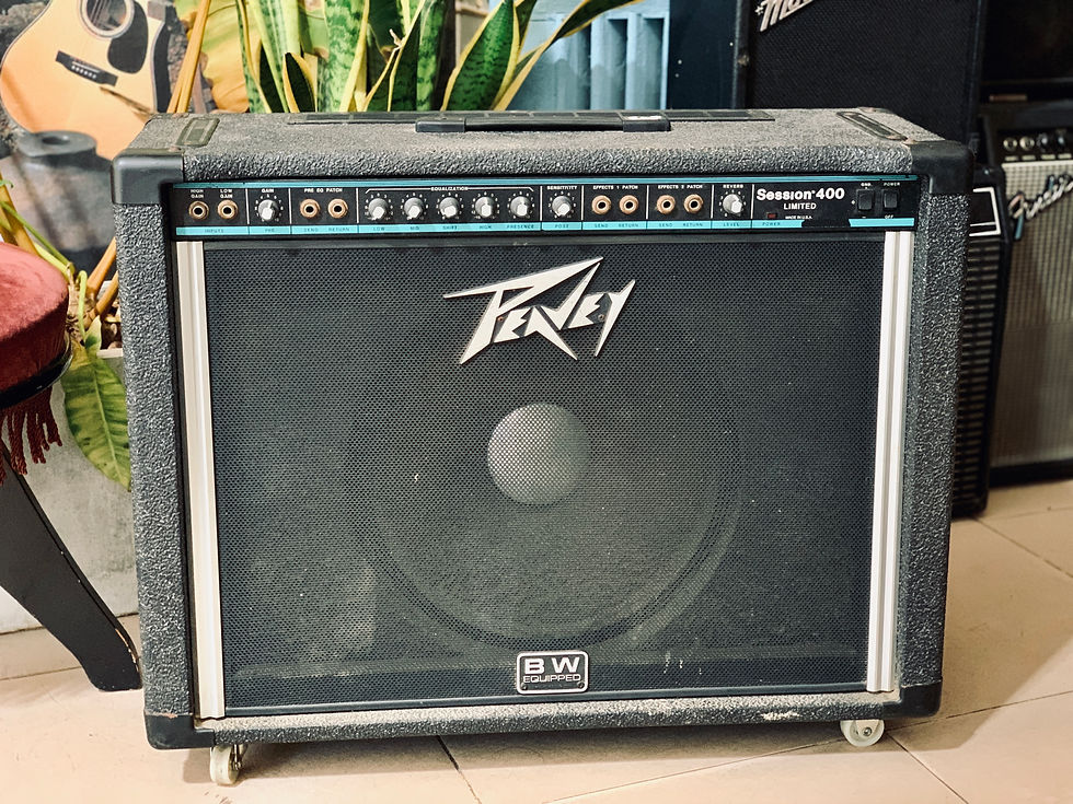 Loa ampli guitar 2nd Peavey Session 400 Limited Made in USA