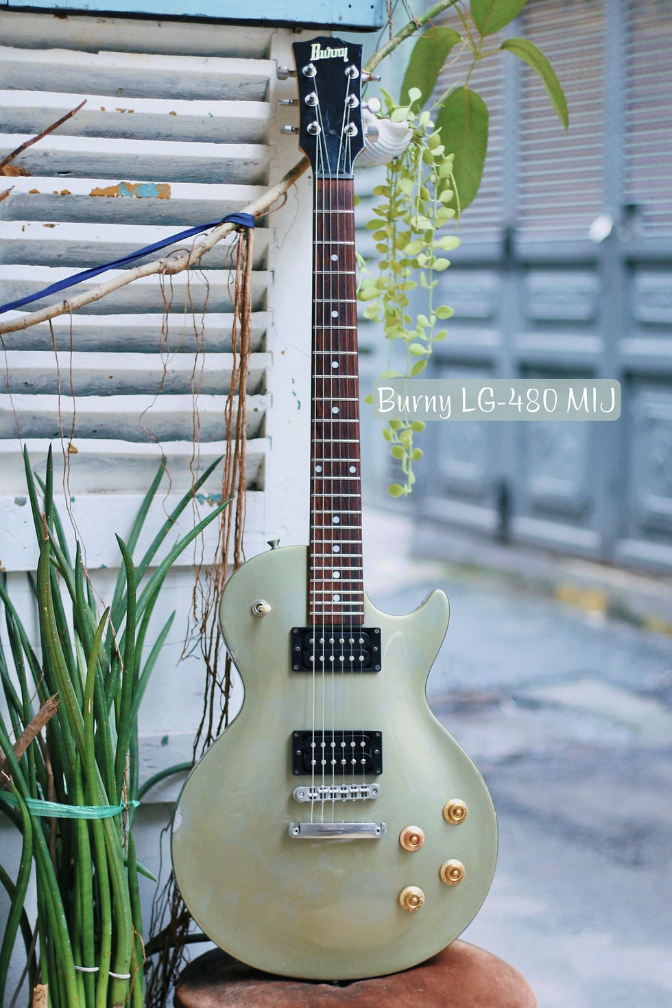 BURNY バーニー　FERNANDES レスポール　LG480？ BURNY FERNANDES レスポールLG480 ヴィンテージ