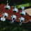 Thumbnail: Guitar acoustic Morris W40 vintage 1976 .