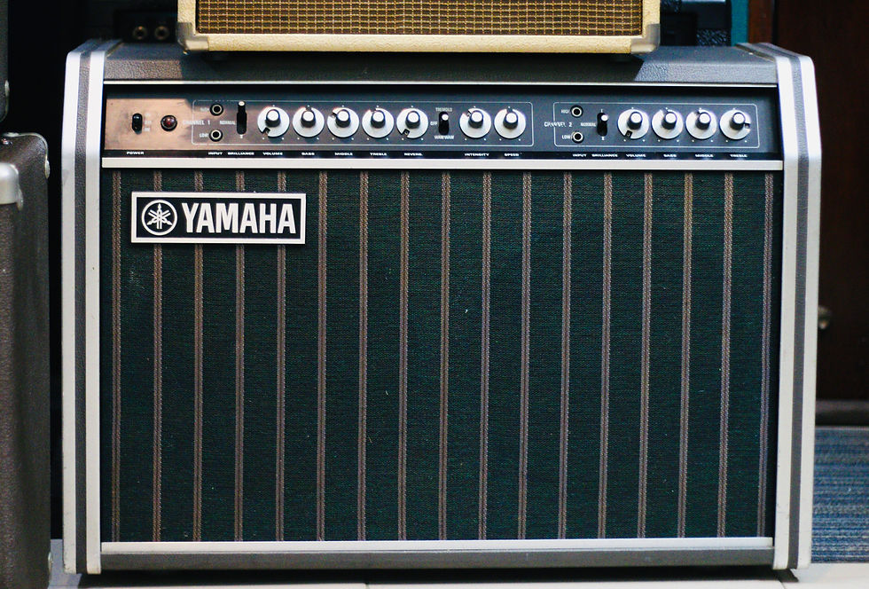 Loa ampli Guitar Yamaha YTA95 1970s .