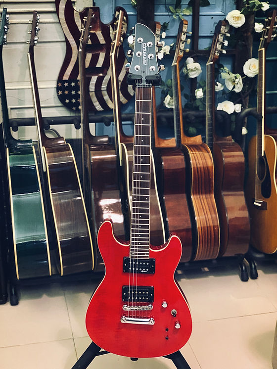 fernandes apg-55s（○【中古・現状品】Fernandes APG-55S