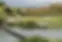 streamsong-hero-image (1).webp