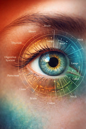 Iridology diagram on an eye, mapping body systems
