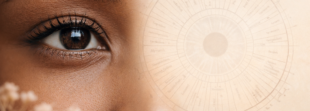 Human eye and iridology chart