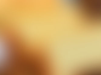 Pão simples de liquidificador sem sovar