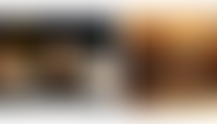 O lado OBSCURO de sair da Matrix e Radiestesia