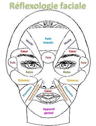 image_réflexologie_faciale.jpg