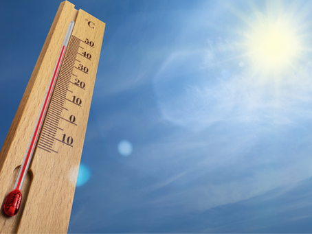 Bis zu 42 Grad! So kommt Michendorf durch das Hitze-Wochenende