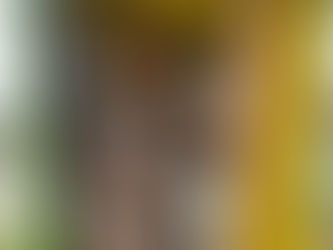 Ortsvorsteher schlägt Alarm: Vandalismusproblem der Bücherzelle Wildenbruch