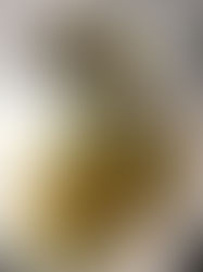 Recipe of the week: Coconut Curry Cauliflower