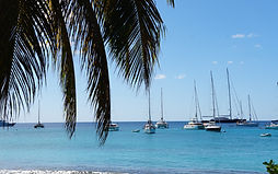 Beach with Boats and Coconut Tree
