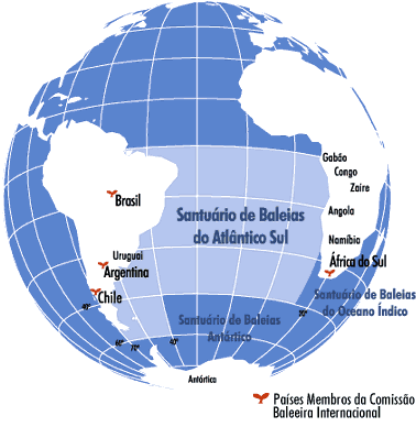 Comissão Internacional Baleeira não aprova criação de santuário no Atlântico Sul