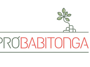Grupo Pró-Babitonga define logomarca
