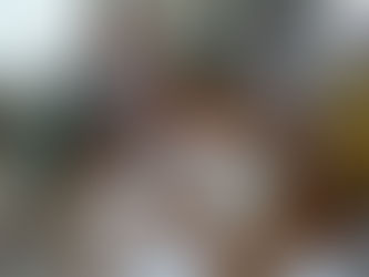 Projeto Babitonga Ativa busca agenda de aprendizado com experiências de gestão territorial
