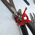 20250520_120601.jpg