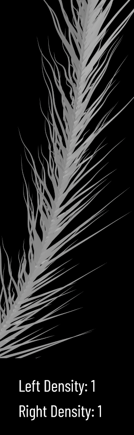 maxDensity.gif