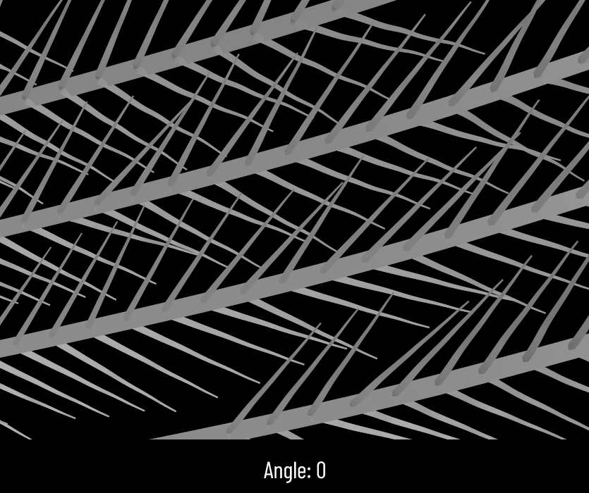angle.gif