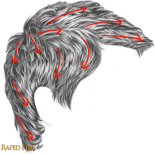 hairFlow.jpg